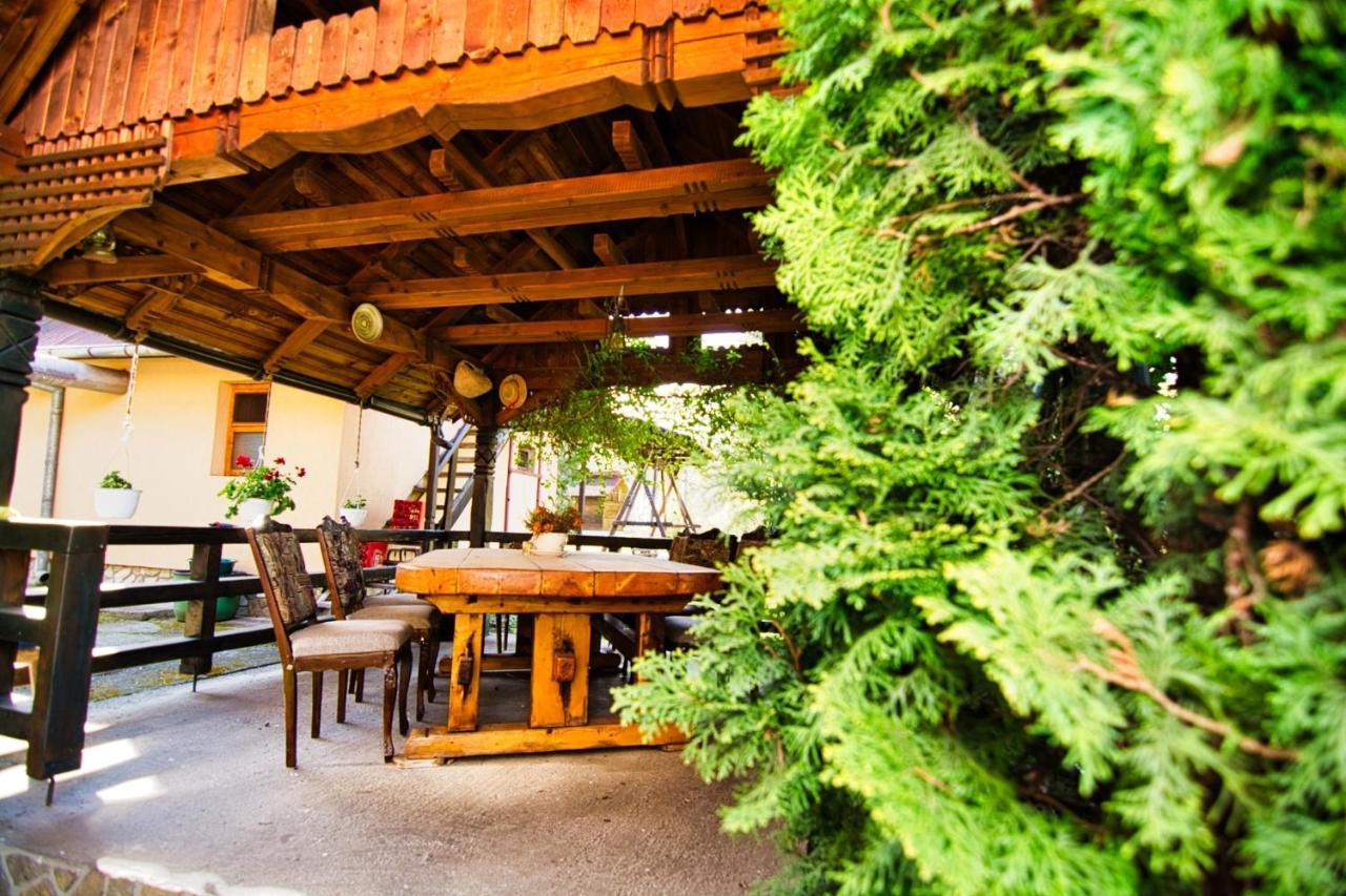 Motel Seaca Călimăneşti Exteriér fotografie